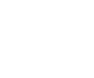 Fat panda